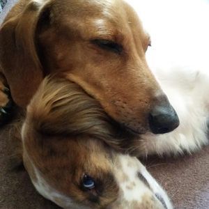 Meet your Posher, Mg